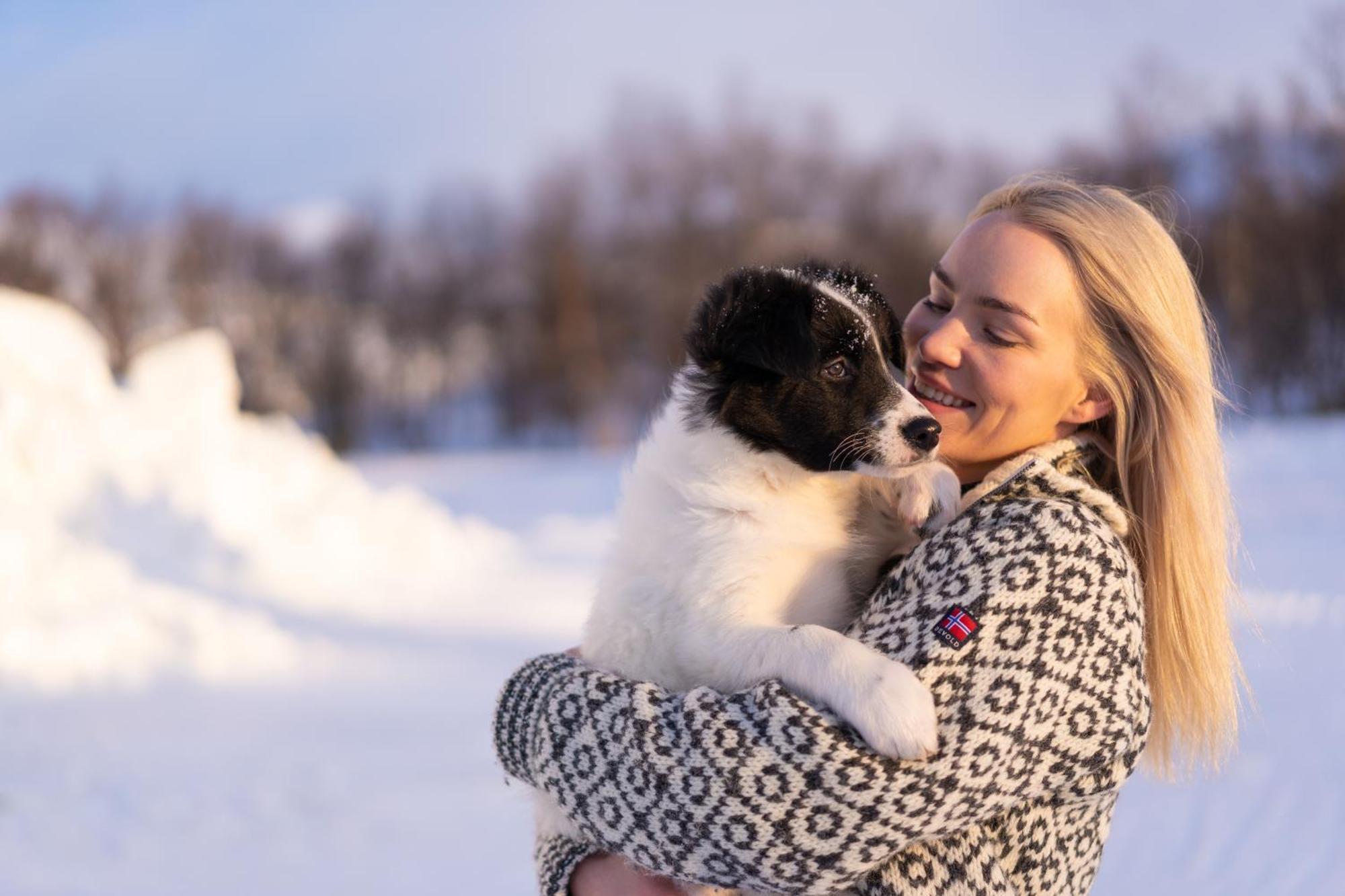 Snowhotel Kirkenes Luaran gambar